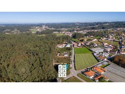 Terreno R�stico T0 - S�o Martinho da G�ndara, Oliveira de Azem�is, Aveiro - Miniatura: 5/11