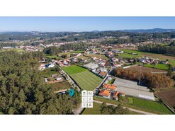 Terreno R�stico T0 - S�o Martinho da G�ndara, Oliveira de Azem�is, Aveiro - Miniatura: 6/11