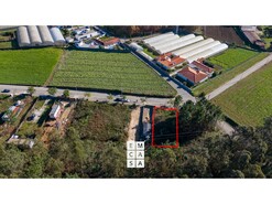 Terreno R�stico T0 - S�o Martinho da G�ndara, Oliveira de Azem�is, Aveiro - Miniatura: 8/11