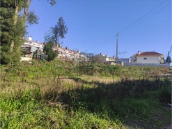 Terreno R�stico T0 - Macieira de Sarnes, Oliveira de Azem�is, Aveiro - Miniatura: 4/4