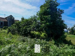 Moradia T5 - Nogueira do Cravo, Oliveira de Azem�is, Aveiro - Miniatura: 14/21