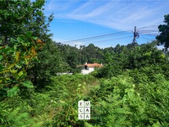 Moradia T5 - Nogueira do Cravo, Oliveira de Azem�is, Aveiro - Miniatura: 16/21