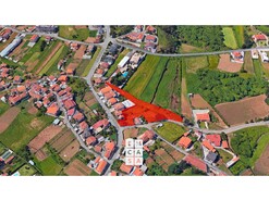 Moradia T5 - Nogueira do Cravo, Oliveira de Azem�is, Aveiro - Miniatura: 21/21