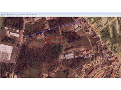 Terreno R�stico T0 - S�o Roque, Oliveira de Azem�is, Aveiro - Miniatura: 2/11