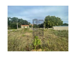 Terreno R�stico T0 - S�o Roque, Oliveira de Azem�is, Aveiro - Miniatura: 3/11