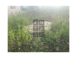 Terreno R�stico T0 - S�o Roque, Oliveira de Azem�is, Aveiro - Miniatura: 4/11