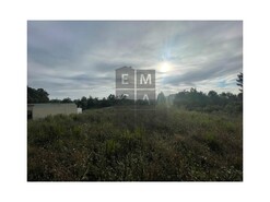 Terreno R�stico T0 - S�o Roque, Oliveira de Azem�is, Aveiro - Miniatura: 5/11