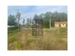 Terreno R�stico T0 - S�o Roque, Oliveira de Azem�is, Aveiro - Miniatura: 7/11