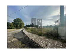 Terreno R�stico T0 - S�o Roque, Oliveira de Azem�is, Aveiro - Miniatura: 9/11