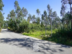 Armaz�m T0 - Loureiro, Oliveira de Azem�is, Aveiro - Miniatura: 4/14