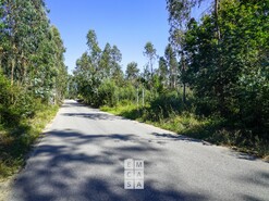 Armaz�m T0 - Loureiro, Oliveira de Azem�is, Aveiro - Miniatura: 5/14