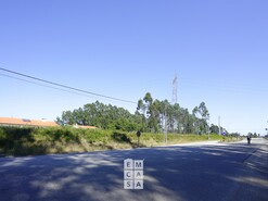 Armaz�m T0 - Loureiro, Oliveira de Azem�is, Aveiro - Miniatura: 9/14