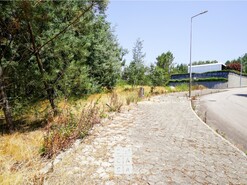 Terreno R�stico T0 - Nogueira do Cravo, Oliveira de Azem�is, Aveiro - Miniatura: 1/8