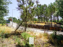 Terreno R�stico T0 - Nogueira do Cravo, Oliveira de Azem�is, Aveiro - Miniatura: 2/8