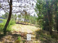 Terreno R�stico T0 - Nogueira do Cravo, Oliveira de Azem�is, Aveiro - Miniatura: 3/8