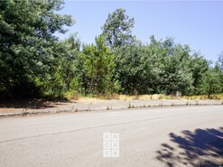 Terreno R�stico T0 - Nogueira do Cravo, Oliveira de Azem�is, Aveiro - Miniatura: 4/8