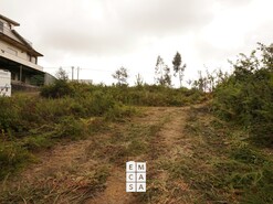 Terreno R�stico T0 - Milheir�s de Poiares, Santa Maria da Feira, Aveiro - Miniatura: 5/10