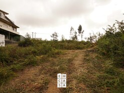 Terreno R�stico T0 - Milheir�s de Poiares, Santa Maria da Feira, Aveiro - Miniatura: 6/10