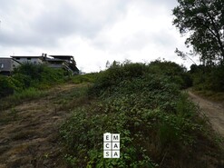 Terreno R�stico T0 - Milheir�s de Poiares, Santa Maria da Feira, Aveiro - Miniatura: 8/10