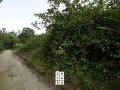 Terreno R�stico T0 - Milheir�s de Poiares, Santa Maria da Feira, Aveiro - Miniatura: 10/10