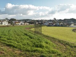 Moradia T4 - Vila de Cucuj�es, Oliveira de Azem�is, Aveiro - Miniatura: 4/24
