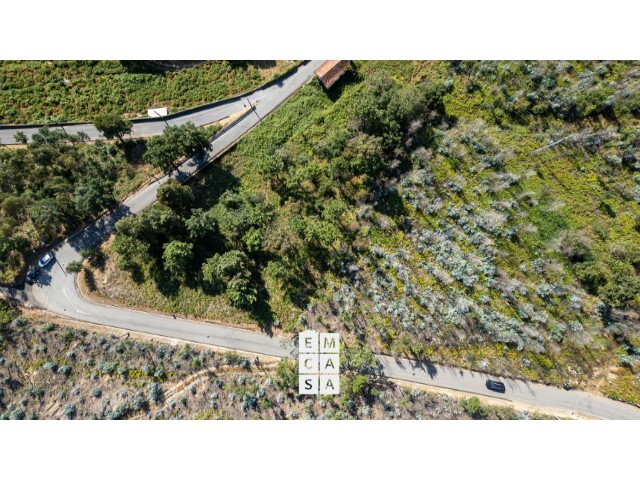 Terreno Rstico - Branca, Albergaria-a-Velha, Aveiro - Imagem grande