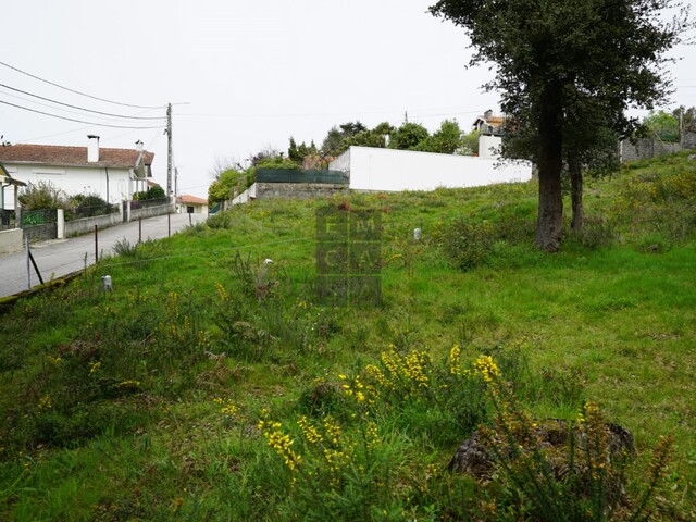 Terreno R�stico T0 - Macieira de Cambra, Vale de Cambra, Aveiro - Imagem grande