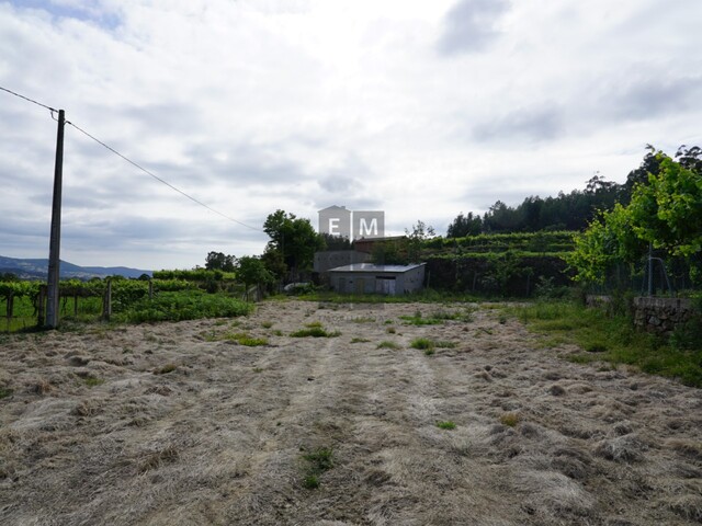 Terreno R�stico T0 - Roge, Vale de Cambra, Aveiro - Imagem grande