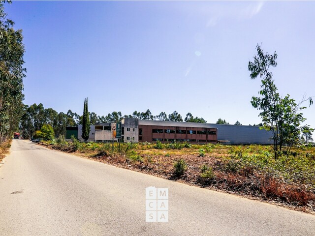 Armaz�m T0 - Loureiro, Oliveira de Azem�is, Aveiro - Imagem grande