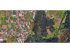 Terreno R�stico T0 - Nogueira do Cravo, Oliveira de Azem�is, Aveiro