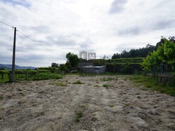 Terreno R�stico T0 - Roge, Vale de Cambra, Aveiro