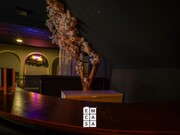 Bar/Restaurante - Sobrado, Castelo de Paiva, Aveiro - Miniatura: 8/9