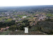 Terreno Rstico - Branca, Albergaria-a-Velha, Aveiro - Miniatura: 5/9