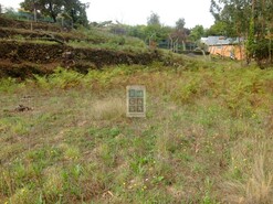 Terreno R�stico T0 - Nogueira do Cravo, Oliveira de Azem�is, Aveiro - Miniatura: 3/8