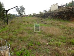 Terreno R�stico T0 - Nogueira do Cravo, Oliveira de Azem�is, Aveiro - Miniatura: 4/8