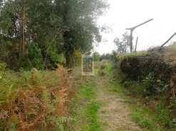 Terreno R�stico T0 - Nogueira do Cravo, Oliveira de Azem�is, Aveiro - Miniatura: 6/8