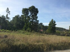 Terreno R�stico T0 - S�o Roque, Oliveira de Azem�is, Aveiro - Miniatura: 4/5