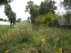 Terreno R�stico T0 - Macieira de Cambra, Vale de Cambra, Aveiro - Miniatura: 4/18