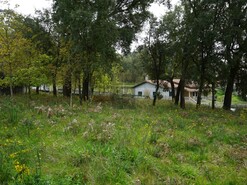 Terreno R�stico T0 - Macieira de Cambra, Vale de Cambra, Aveiro - Miniatura: 6/18