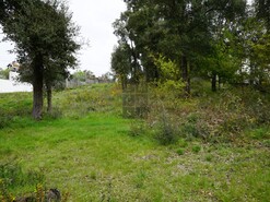 Terreno R�stico T0 - Macieira de Cambra, Vale de Cambra, Aveiro - Miniatura: 7/18