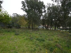 Terreno R�stico T0 - Macieira de Cambra, Vale de Cambra, Aveiro - Miniatura: 8/18