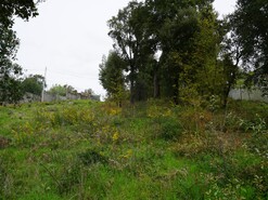 Terreno R�stico T0 - Macieira de Cambra, Vale de Cambra, Aveiro - Miniatura: 10/18
