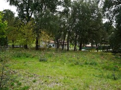 Terreno R�stico T0 - Macieira de Cambra, Vale de Cambra, Aveiro - Miniatura: 11/18
