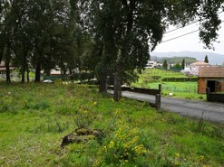 Terreno R�stico T0 - Macieira de Cambra, Vale de Cambra, Aveiro - Miniatura: 13/18