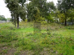 Terreno R�stico T0 - Macieira de Cambra, Vale de Cambra, Aveiro - Miniatura: 17/18