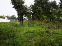 Terreno R�stico T0 - Macieira de Cambra, Vale de Cambra, Aveiro - Miniatura: 18/18