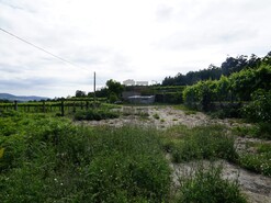 Terreno R�stico T0 - Roge, Vale de Cambra, Aveiro - Miniatura: 2/11