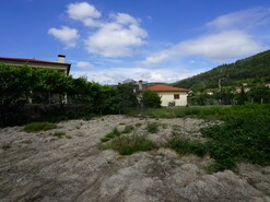 Terreno R�stico T0 - Roge, Vale de Cambra, Aveiro - Miniatura: 4/11