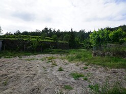 Terreno R�stico T0 - Roge, Vale de Cambra, Aveiro - Miniatura: 5/11