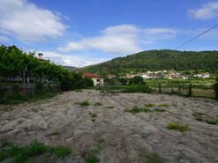 Terreno R�stico T0 - Roge, Vale de Cambra, Aveiro - Miniatura: 7/11